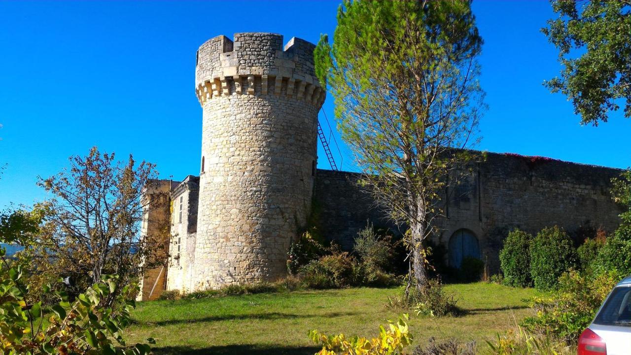 Saint-Vincent-Rive-dʼOlt Maison Sur Le Lot מראה חיצוני תמונה