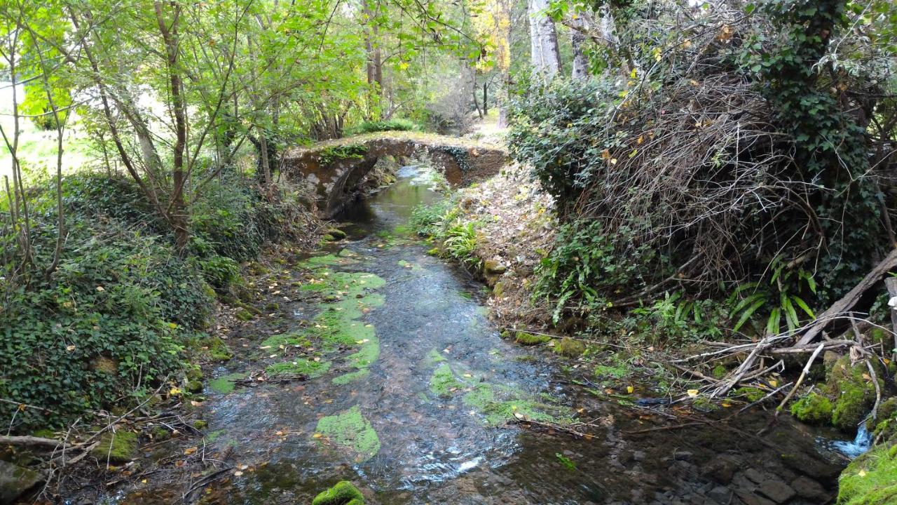 Saint-Vincent-Rive-dʼOlt Maison Sur Le Lot מראה חיצוני תמונה